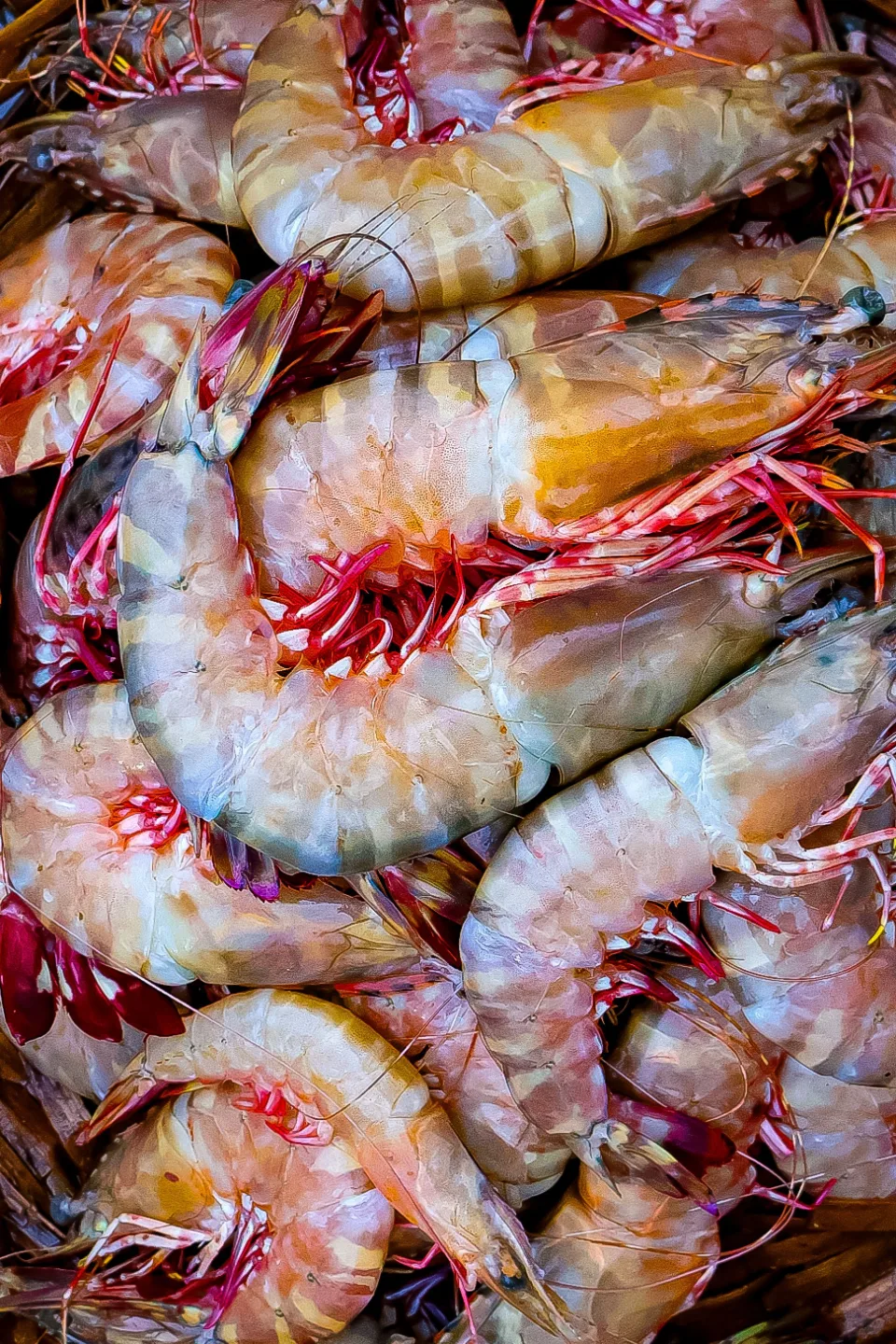Eraal seafood